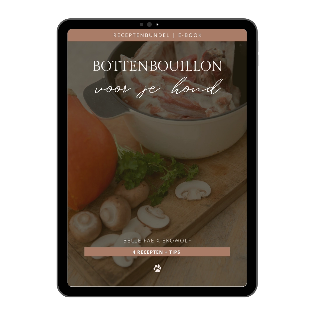 bottenbouillon-receptenbundel